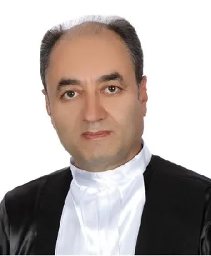 وکیل محمدرضا محمدی