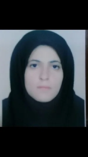 وکیل مدینه بهبرک