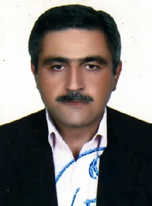 وکیل مرتضی رافعی