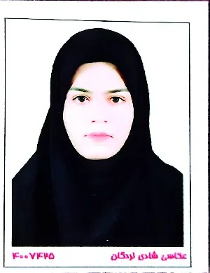 وکیل مریم بنی مسنی