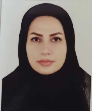 وکیل مریم رجبلو