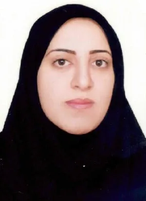 وکیل مریم رضائی برزی
