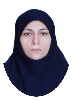 وکیل مریم روشن ضمیر