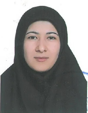 وکیل مریم عزیزی