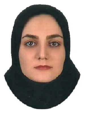 وکیل مریم محمدی