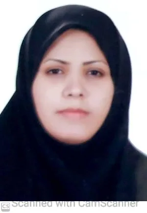 وکیل مریم مقدس