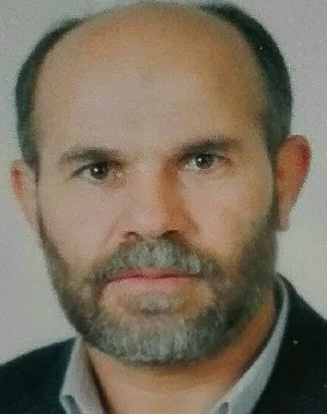 وکیل ملک محمد ملک محمدی