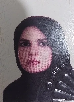 وکیل منظر ابراهیمی