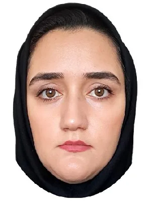 وکیل مهتاب امیریان