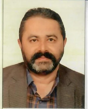 وکیل مهدی امینی