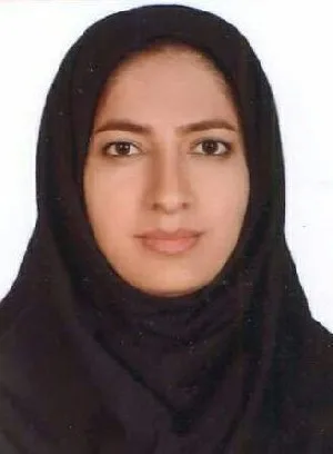 وکیل مهدیه محمدی حاجی ابادی