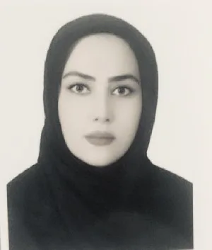 وکیل مهلا هادی زاده