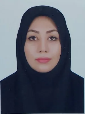 وکیل مهلا کاملی