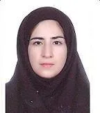 وکیل مهین علی محمدی