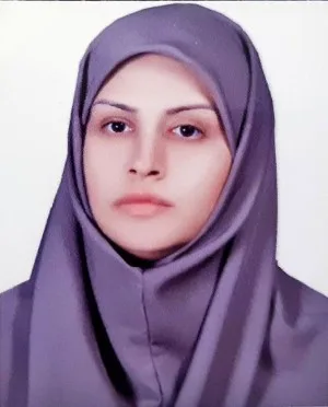 وکیل مژگان ابراهیمی فرد