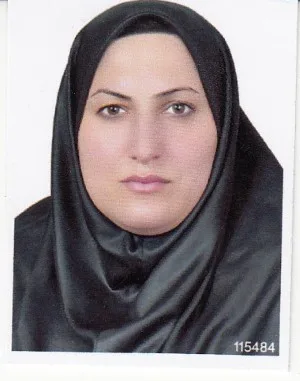 وکیل میترا حسن بیگی