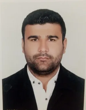 وکیل نادر محمودی