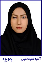 وکیل نگار ربانی