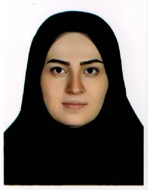 وکیل نگین مجد