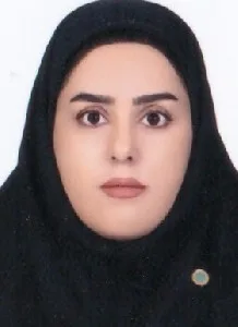 وکیل نیر سعیدی