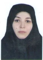 وکیل هاجر پناهی ینگجه