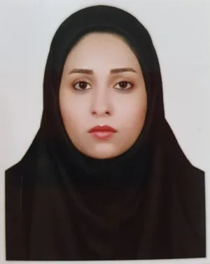 وکیل هدی کرمی زاده