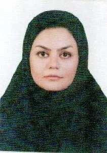 وکیل هما میرحسینی