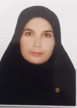 وکیل پروانه امینی یادگاری