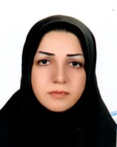 وکیل پروین بگی