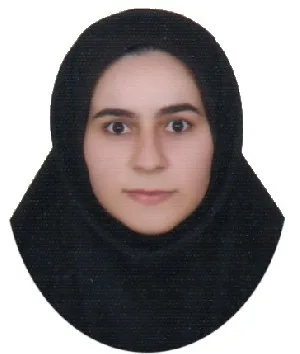 وکیل پریسا برنه دلی