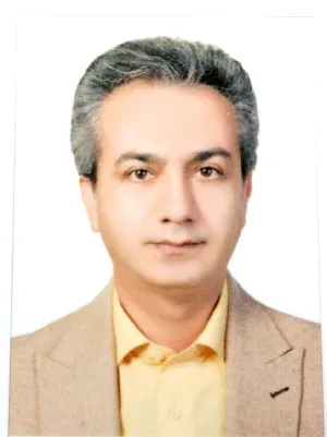 وکیل پیمان مجیبی