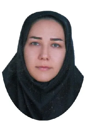 وکیل کبری جهانگیری